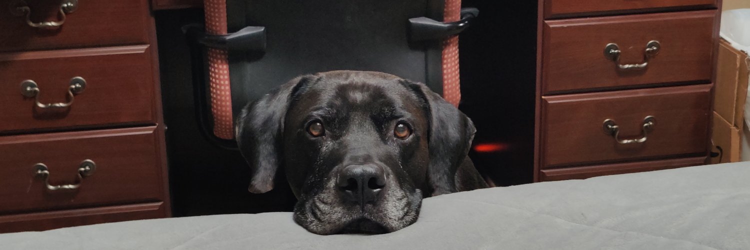 jamie_G_'s profile banner image