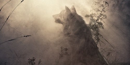 GraceBrisbaneRB's profile banner image