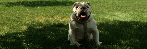 BryantTuppy Profile Banner