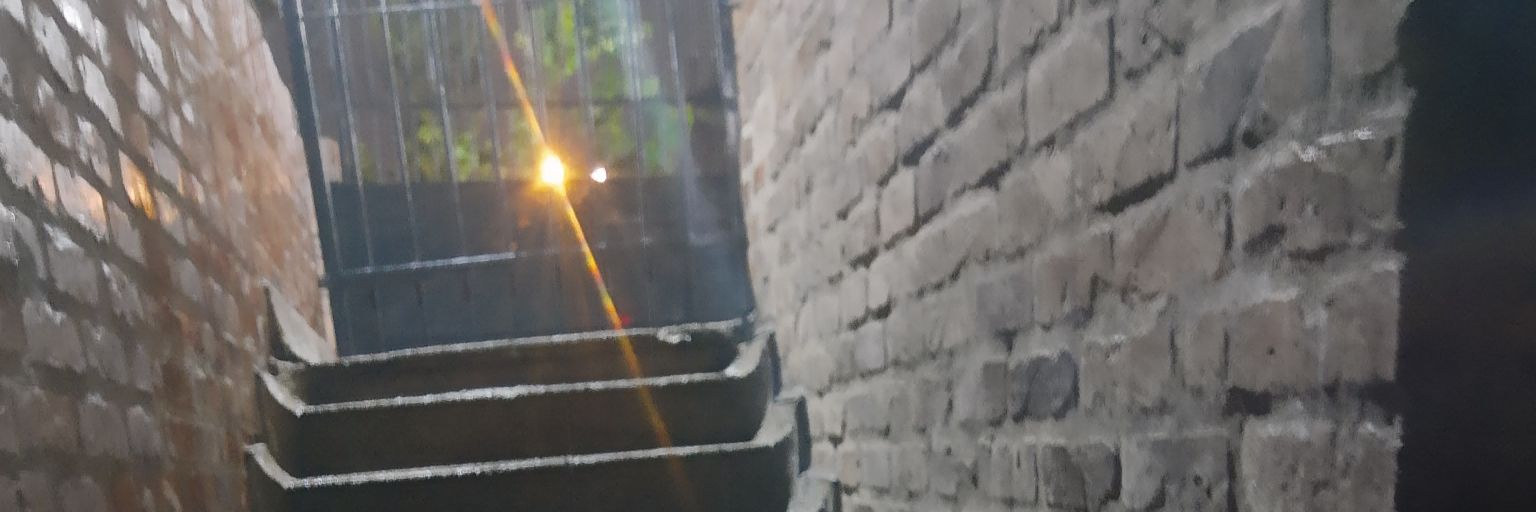 santicasve's profile banner image