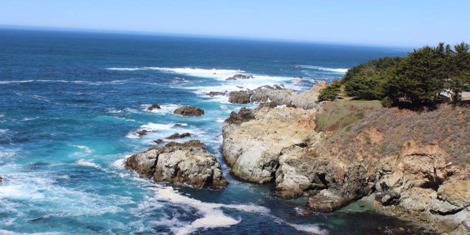 SuzCrowhurst's profile banner image