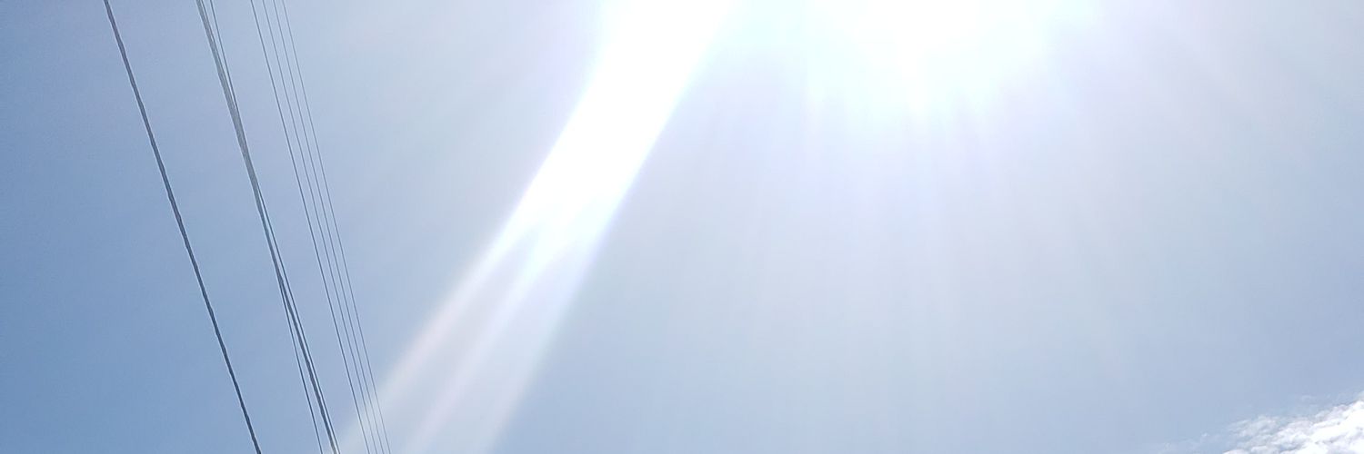 carleinunes's profile banner image