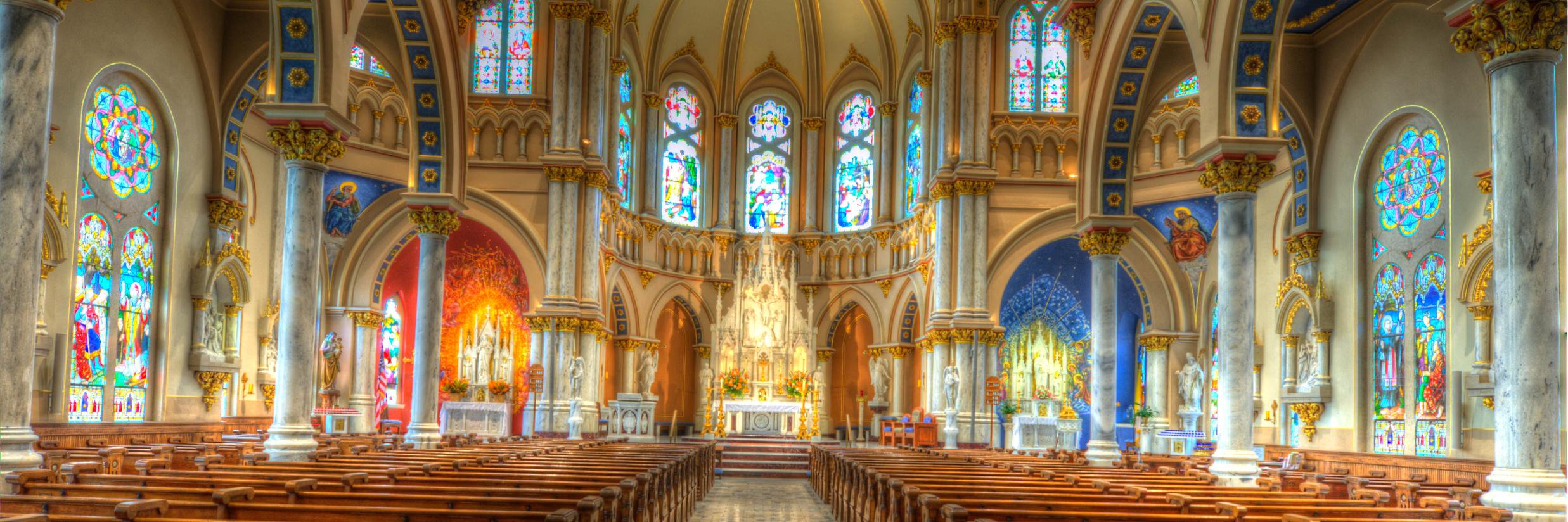 David Mueller banner