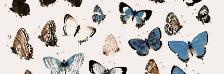 MK_Tyler's profile banner image