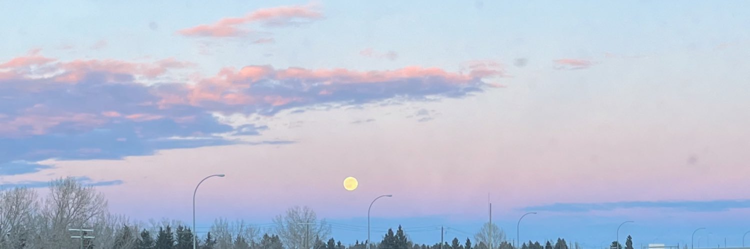 Gracecolboourn's profile banner image