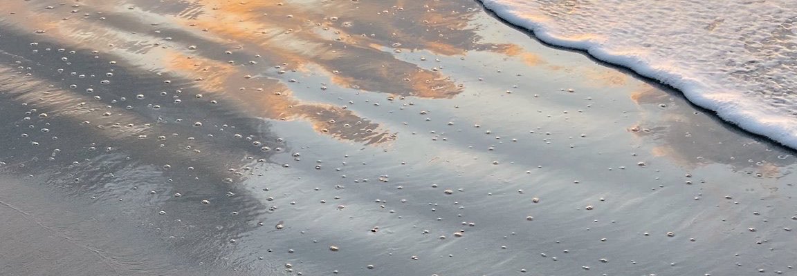 jlaxafr's profile banner image