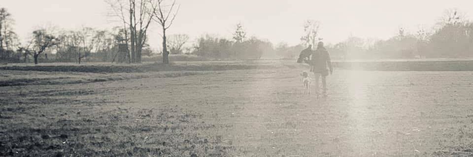wunderlichst's profile banner image
