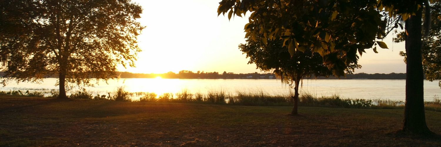 Sarahkthered's profile banner image