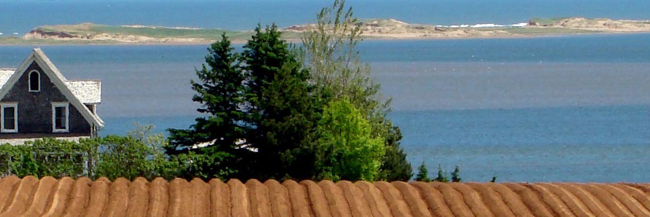 PEIFSN's profile banner image