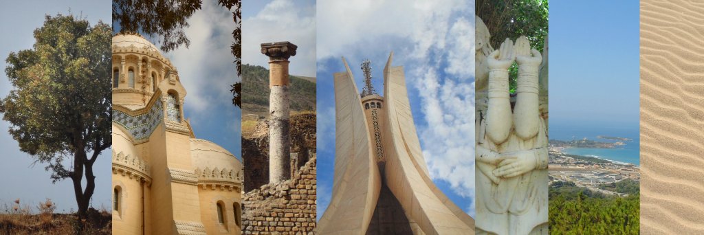 AlgerianStudies's profile banner image