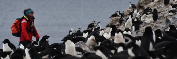 penguin_watch Profile Banner