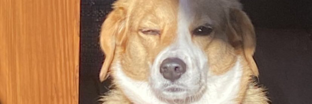 jaydaguilbe's profile banner image