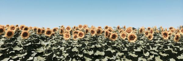 DivitarisS Profile Banner