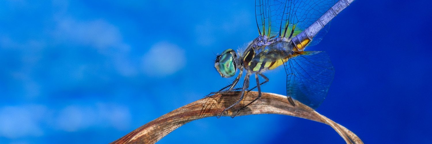 Metro Water District banner
