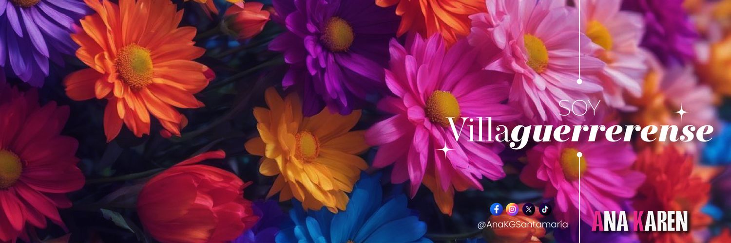 Ana Karen💐 banner