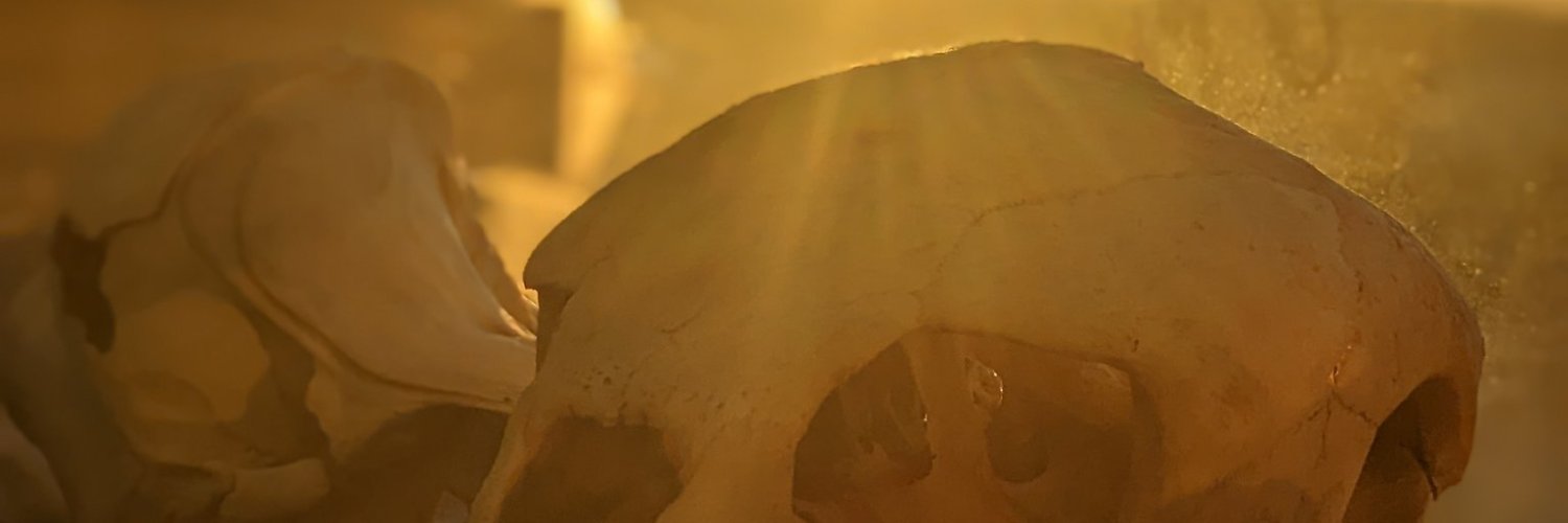 hexapodcaster's profile banner image