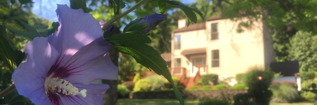 DougBlacksmith's profile banner image