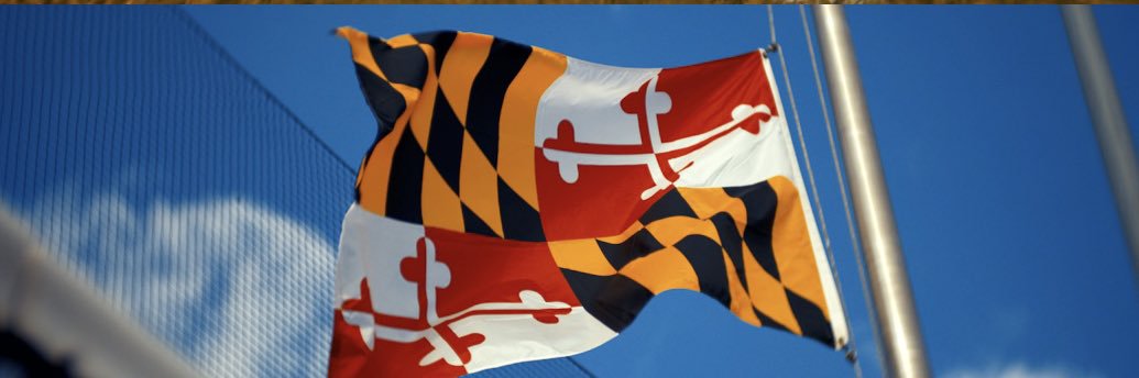 dom_acierno banner