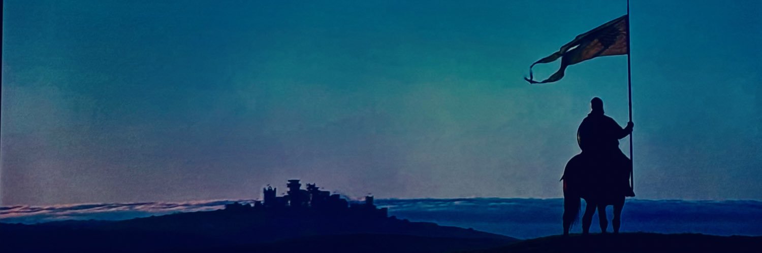 Diego Alcaino banner