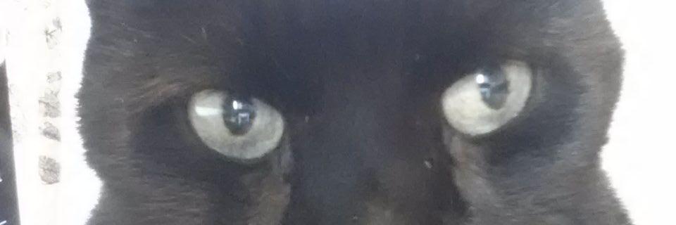 stephenpwall's profile banner image