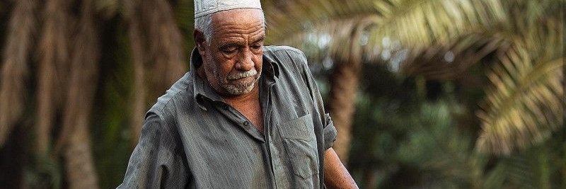 hammameleu's profile banner image
