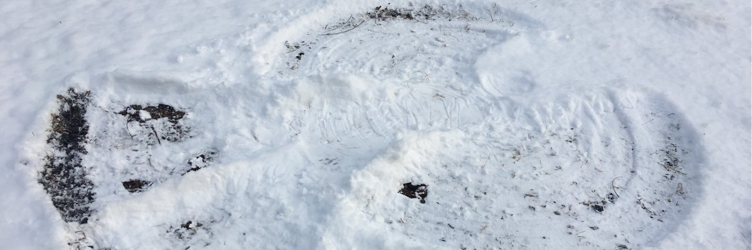 mdpetter's profile banner image
