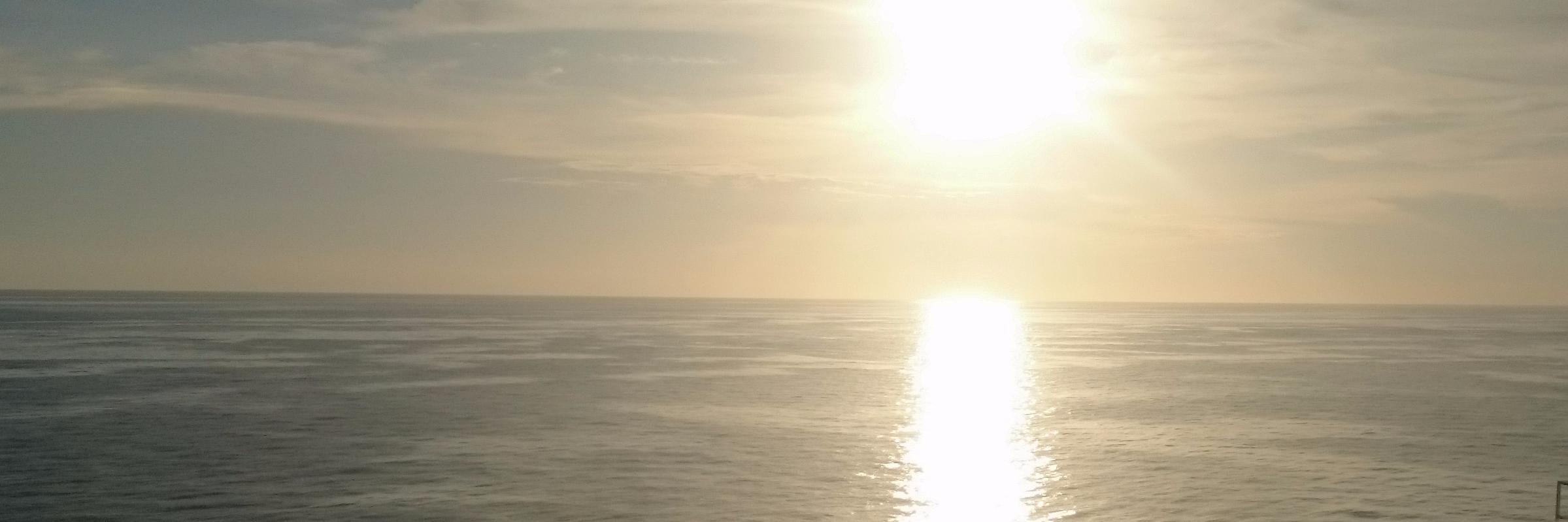 gtylerwright's profile banner image