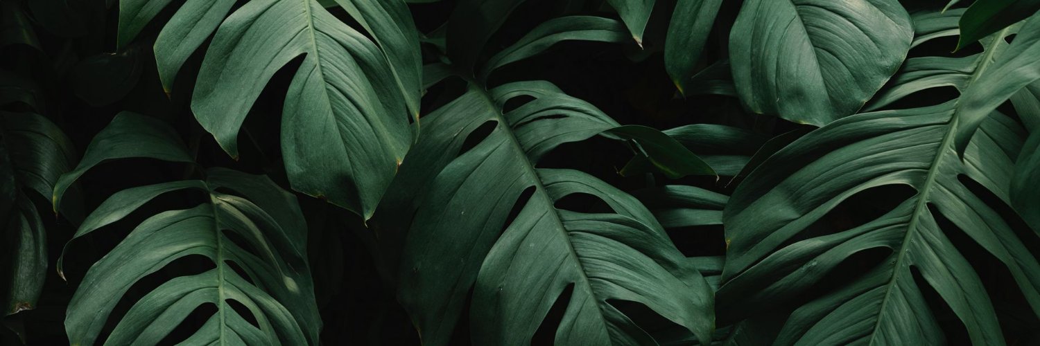 Nad9usha's profile banner image