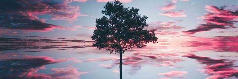 Alex_Alfrex's profile banner image