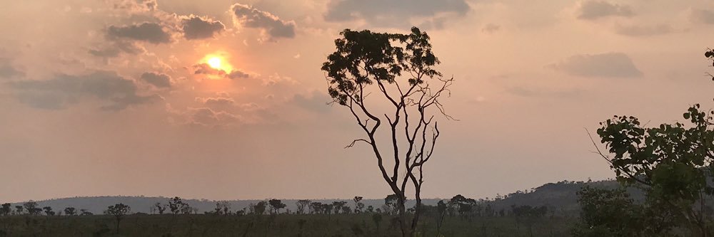 gm_schall's profile banner image