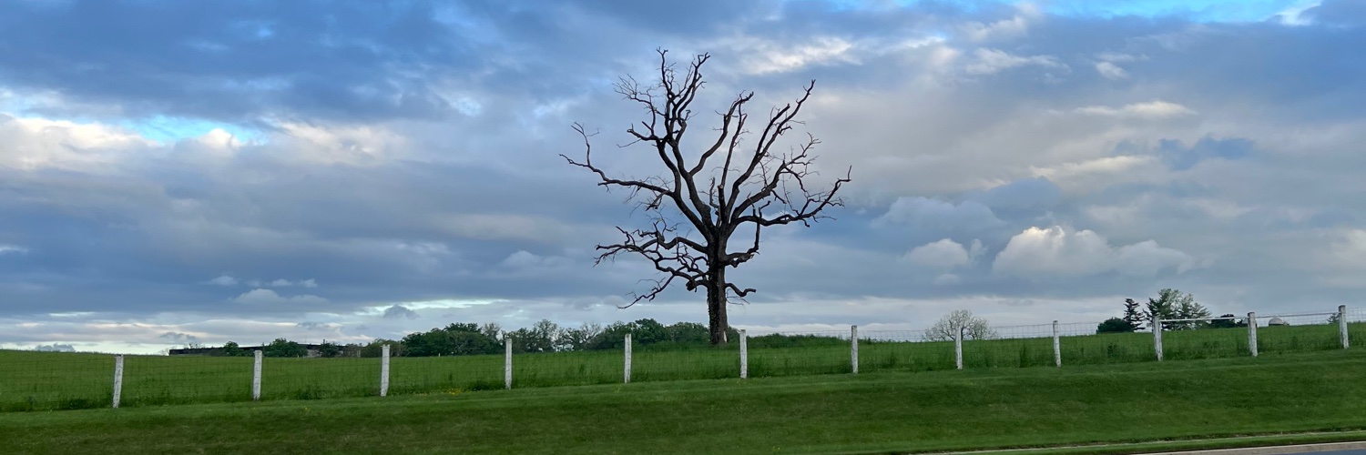 perryAheath's profile banner image