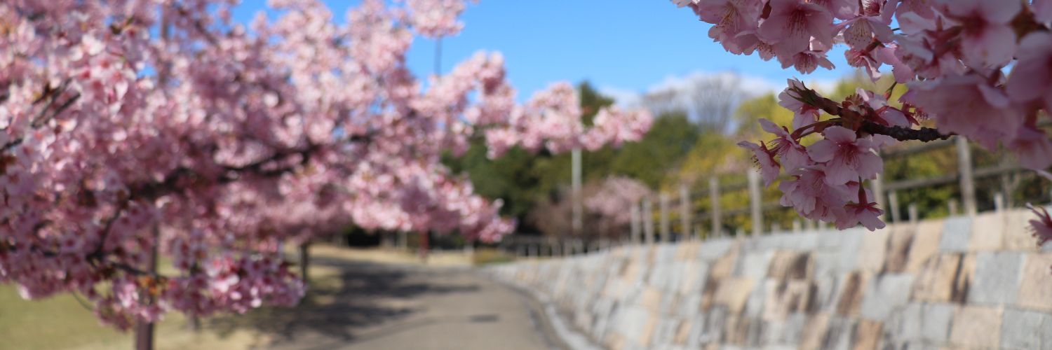nori banner