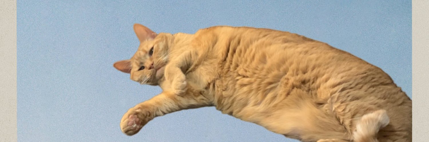crzybryseph's profile banner image