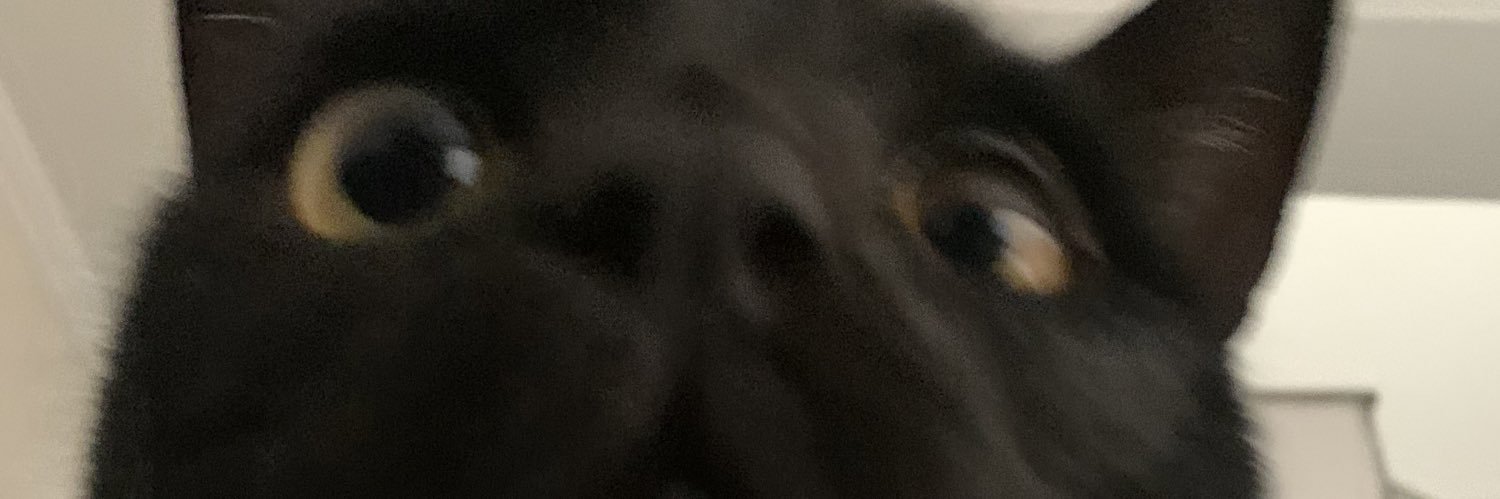 BrunaRosti's profile banner image