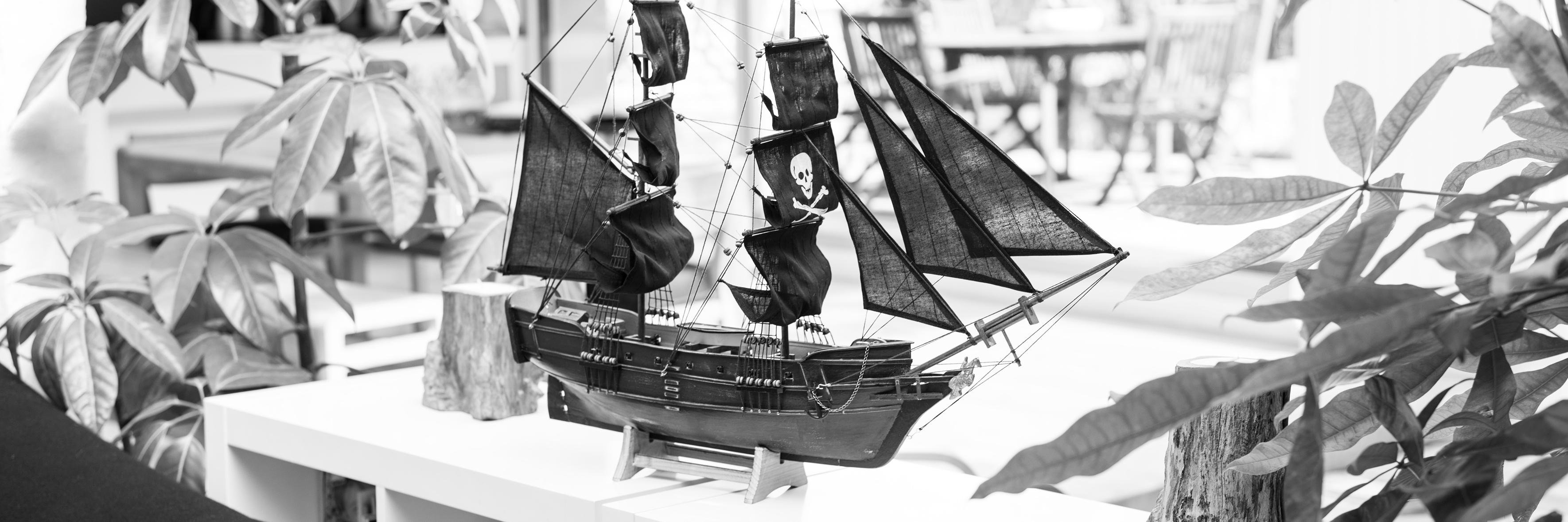 Pavillonoir's profile banner image