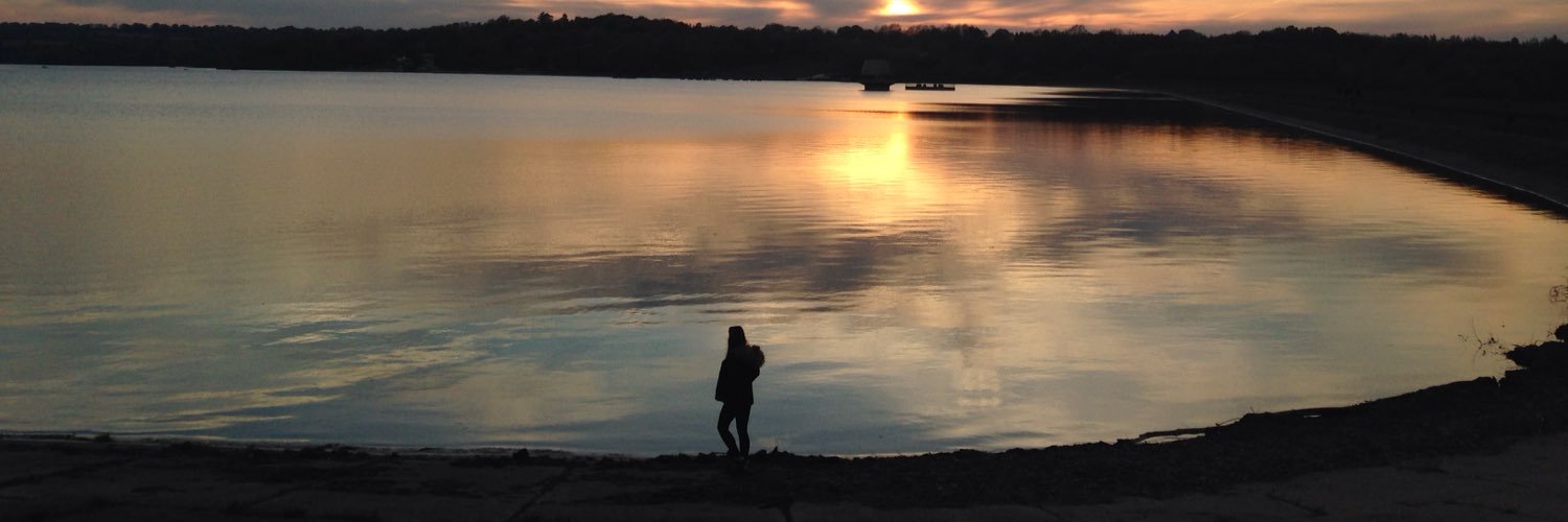 ZShapcott's profile banner image