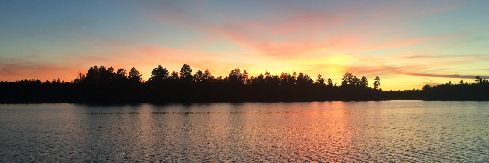 BarryE_'s profile banner image