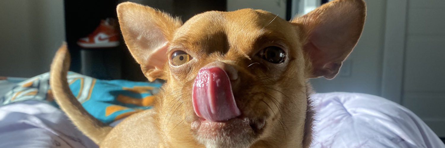 Shaniaaaaxox's profile banner image