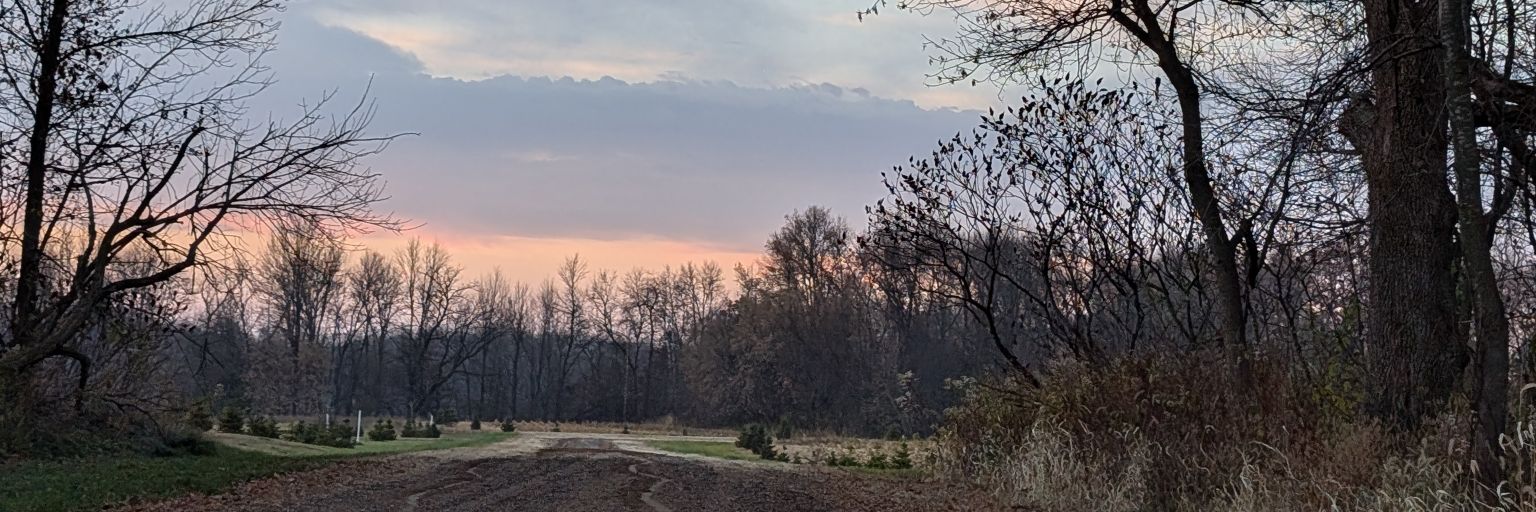 ChrissyBohn's profile banner image
