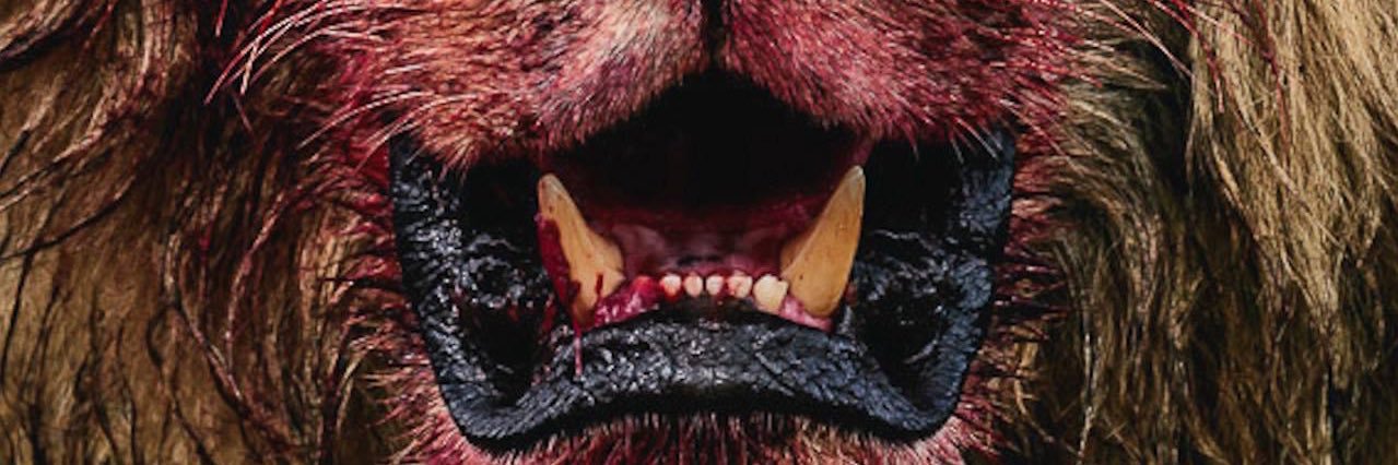 Mb11798's profile banner image