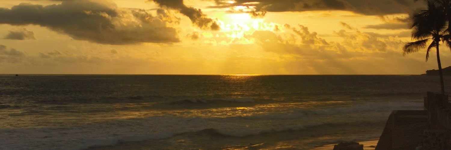 D_palma11's profile banner image
