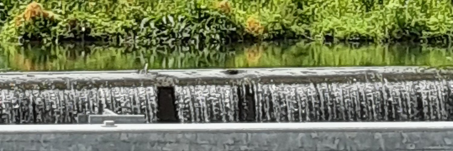 Bulldashammy's profile banner image