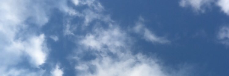 usherhaley's profile banner image