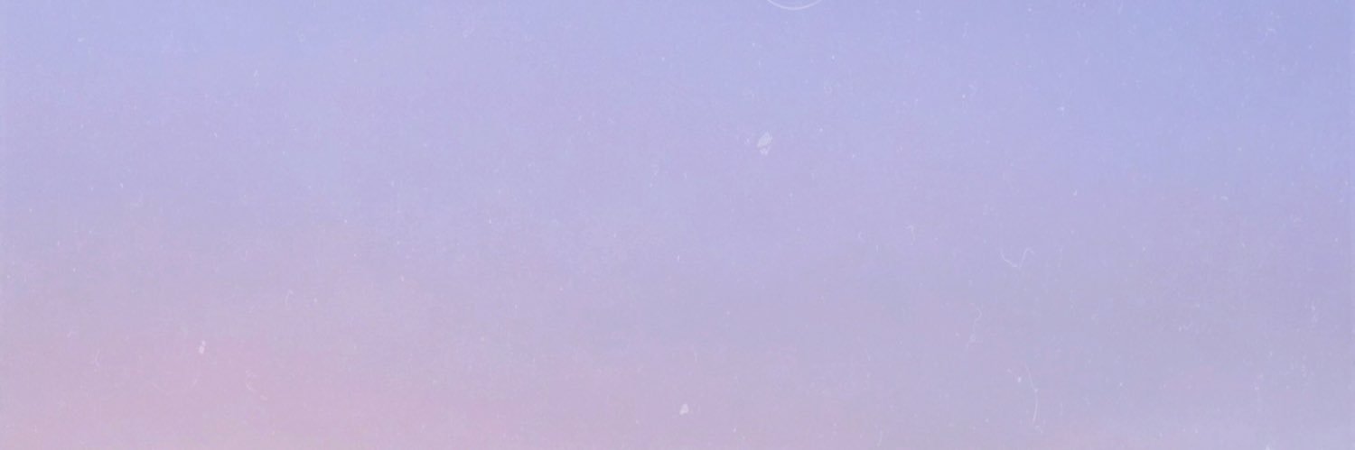 aleesegnini's profile banner image