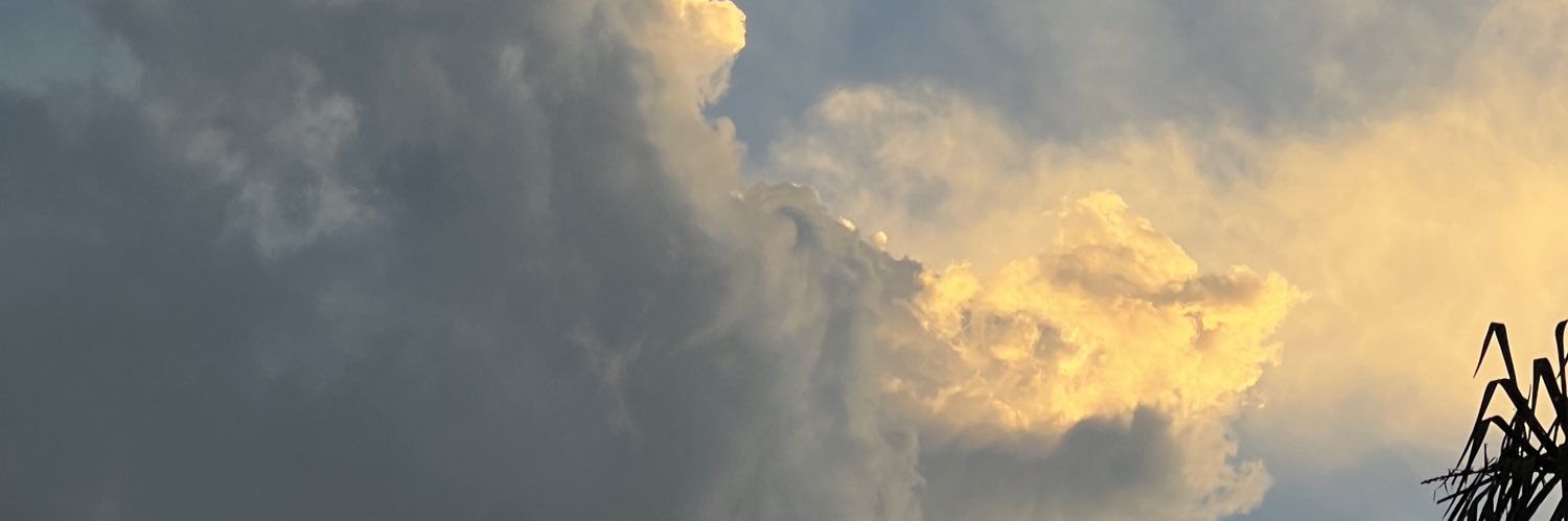 AstridBarufaldi's profile banner image