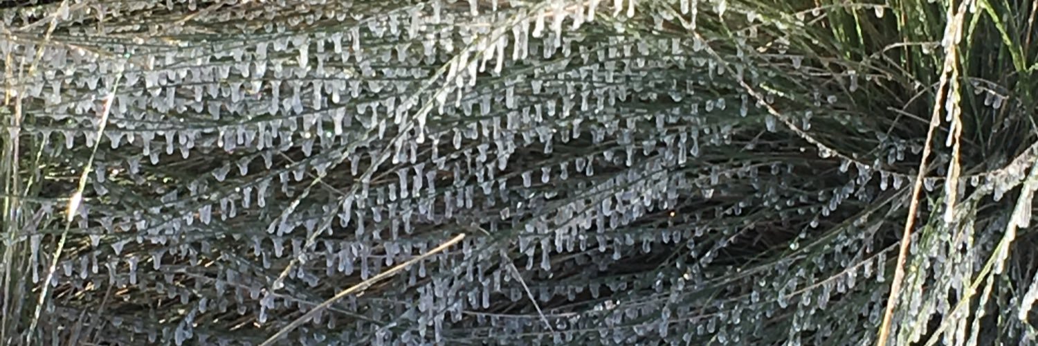 KXW5891's profile banner image