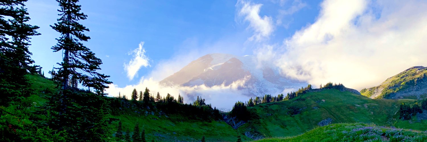 GerardoPanson's profile banner image