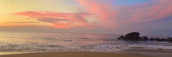 analamaro Profile Banner