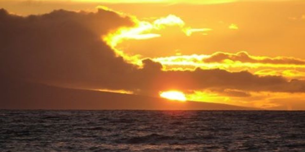 reginaj44's profile banner image