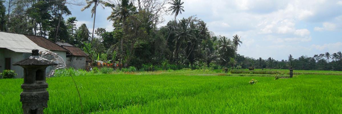 KetutSutar's profile banner image